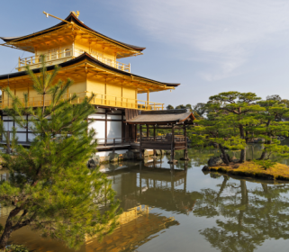 Sacred Stillness: Awakening Buddhi in Japan