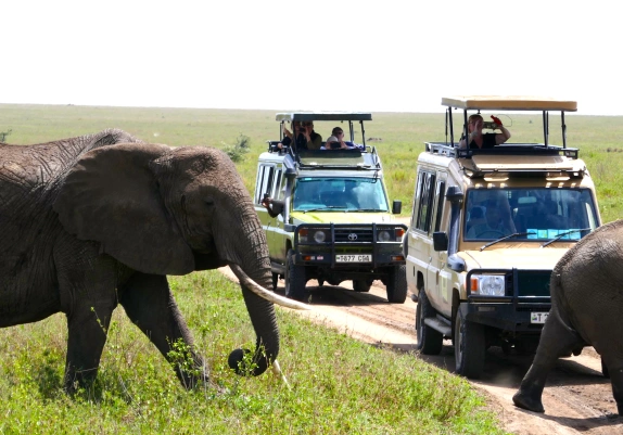 Postponed: Yoga & Safari Retreat in Tanzania