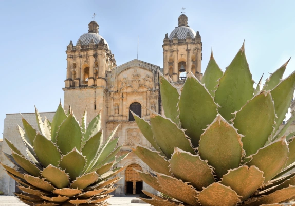 The Wondrous World of Oaxaca