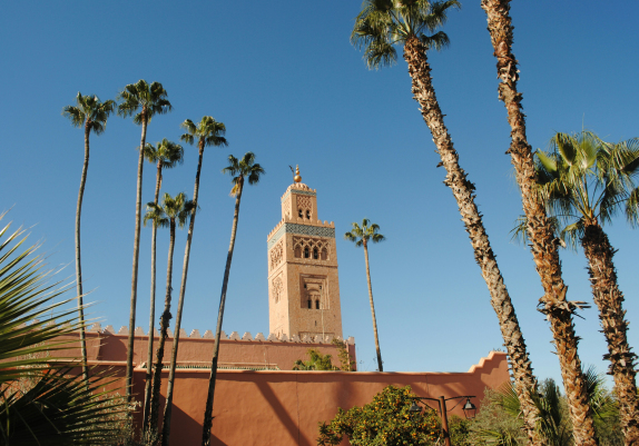 Magic in Morocco: A Vibrant Yoga Journey