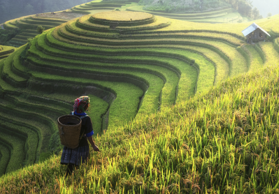 Between Being & Becoming: Yoga in Vietnam